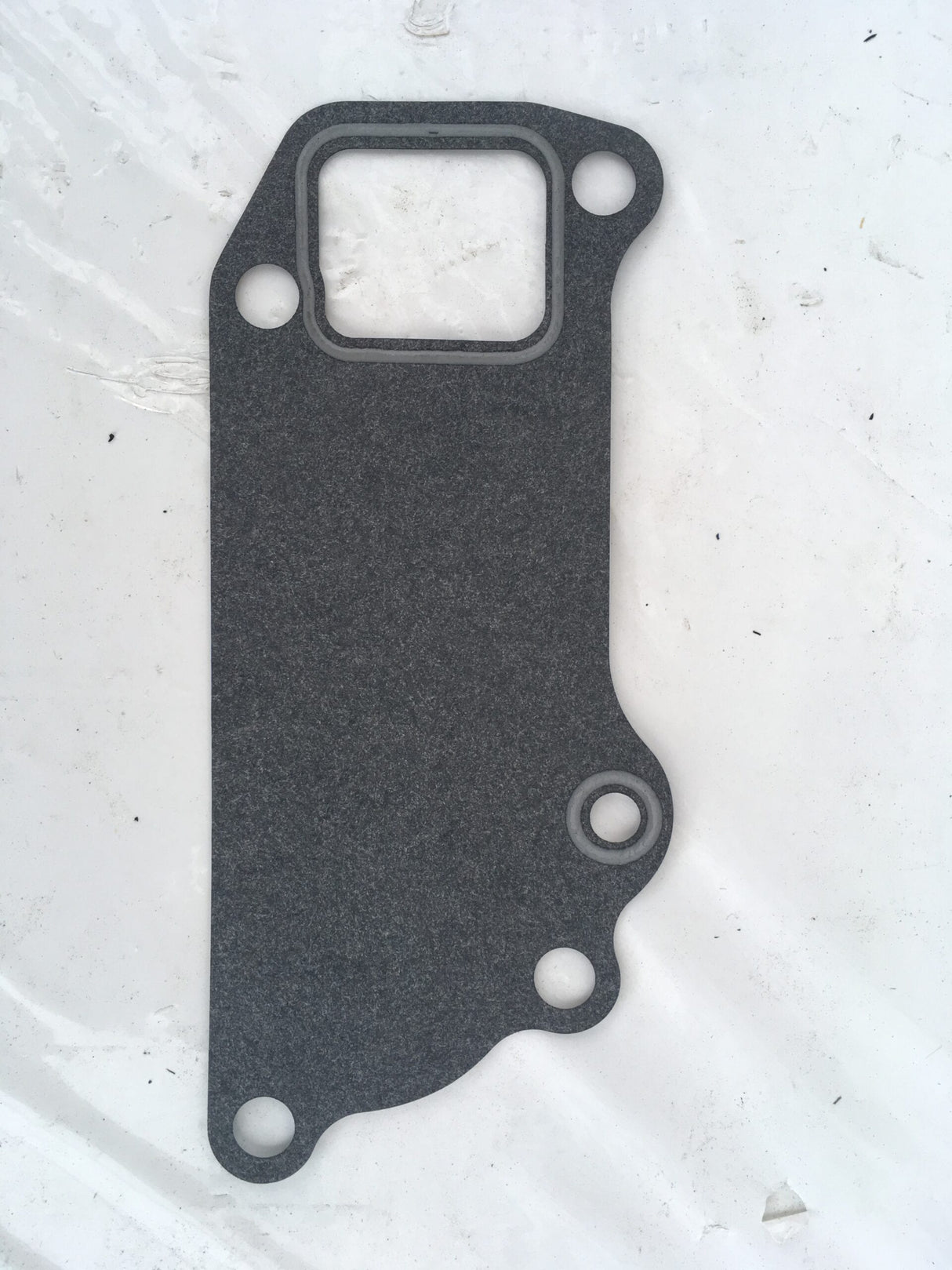 02/800341 Joint de pompe à eau JCB