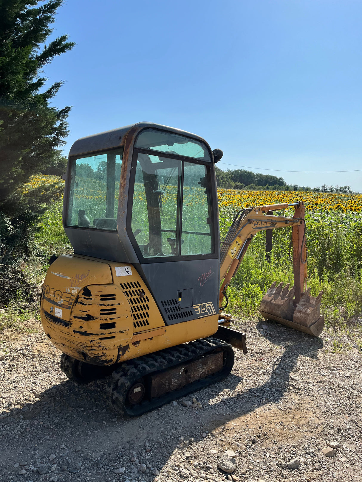 MINI PELLE CASE CX15